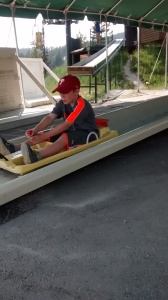 apineslide